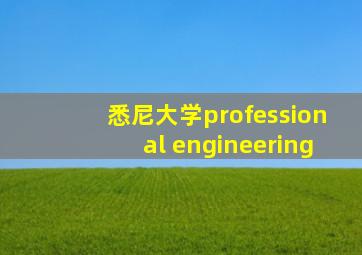 悉尼大学professional engineering